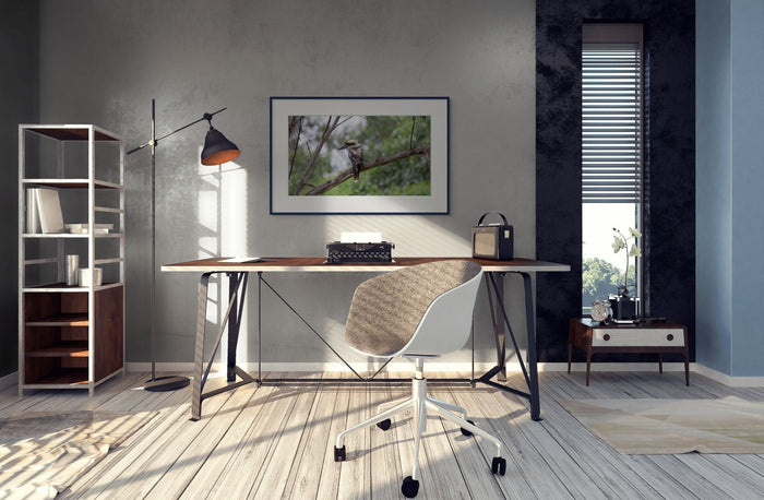 Kookaburra in a tree