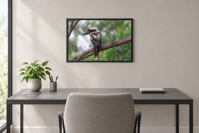 Landscape A2 Kookaburra Gaze print above a clean contemporary office desk with minimal woodgrain