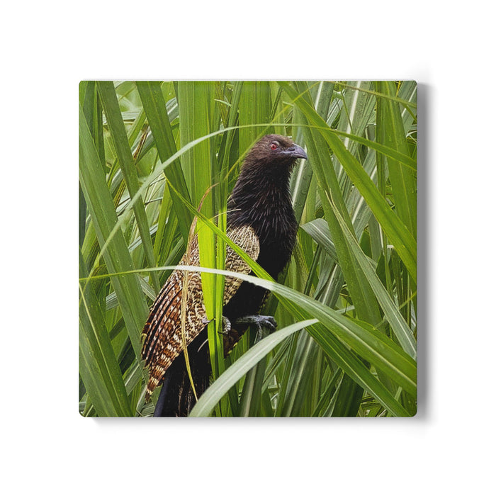 Ceramic drink coaster-Pheasant