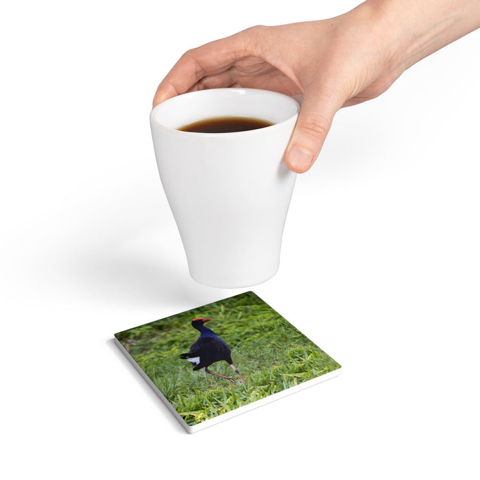 Ceramic Coaster — Purple Swamphen