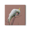 Ceramic Coaster Cockatoo Mocha