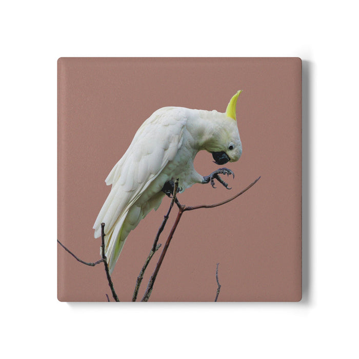 Ceramic Coaster Cockatoo Mocha