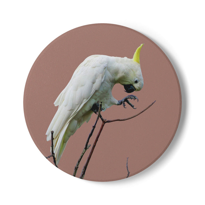 Ceramic Coaster Cockatoo Mocha