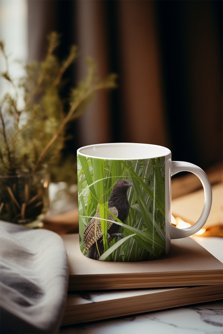 Gift Collection - Australian Wildlife Gifts | Claw and Cane Prints