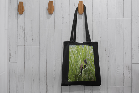 Gift Collection - Australian Wildlife Gifts | Claw and Cane Prints