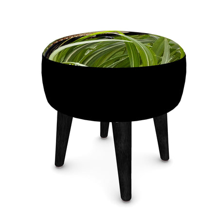 Gift Collection - Australian Wildlife Gifts | Claw and Cane Prints