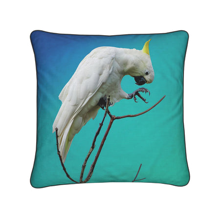 Gift Collection - Australian Wildlife Gifts | Claw and Cane Prints