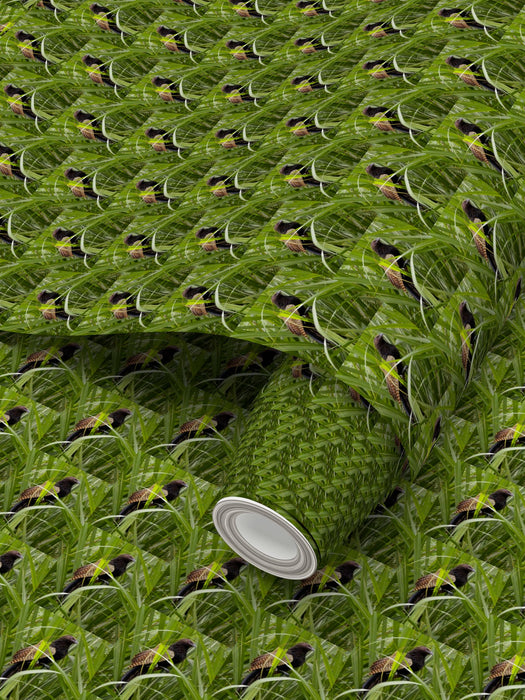 Premium Wallpaper Pheasant