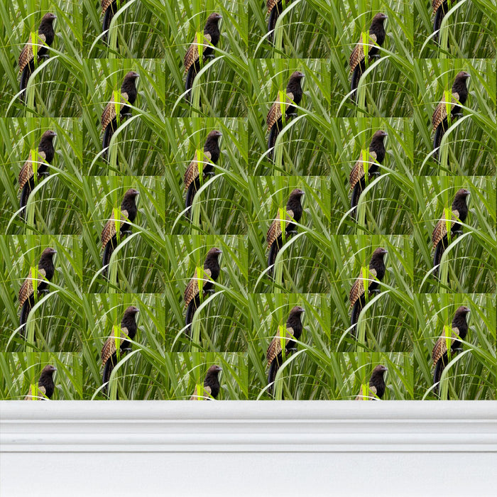 Premium Wallpaper Pheasant