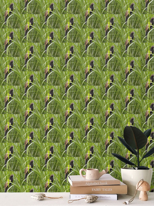 Premium Wallpaper Pheasant