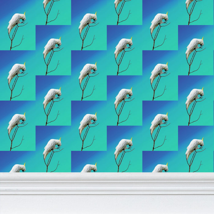 Premium Wallpaper Cockatoo