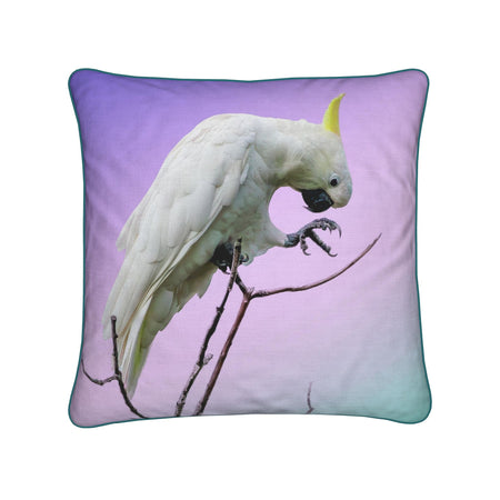 Gift Collection - Australian Wildlife Gifts | Claw and Cane Prints