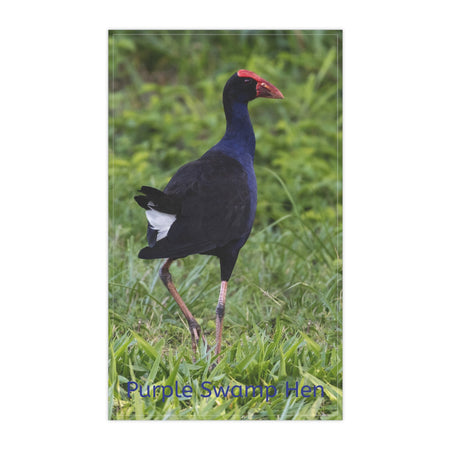 Gift Collection - Australian Wildlife Gifts | Claw and Cane Prints