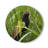 Ceramic drink coaster-Pheasant