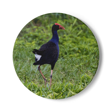 Gift Collection - Australian Wildlife Gifts | Claw and Cane Prints