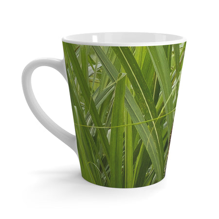Gift Collection - Australian Wildlife Gifts | Claw and Cane Prints