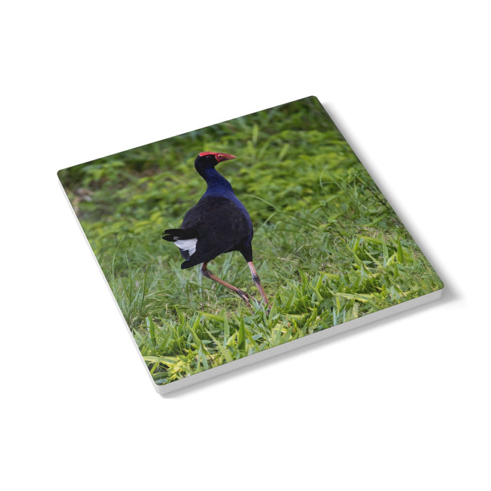 Ceramic Coaster — Purple Swamphen