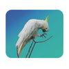 Cockatoo Mouse Pad — Australian Wildlife Desk Mat & Accessory