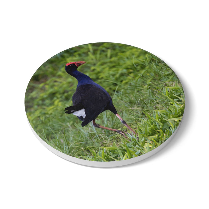 Ceramic Coaster — Purple Swamphen
